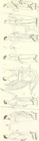 An illustration from Pitture di vasi fittili, esibite dal cav. F. Inghirami per servire di studio alla mitologia ed all storia degli antichi popoli (1838)