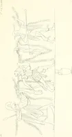 An illustration from Pitture di vasi fittili, esibite dal cav. F. Inghirami per servire di studio alla mitologia ed all storia degli antichi popoli (1838)