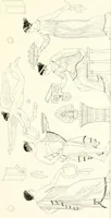 An illustration from Pitture di vasi fittili, esibite dal cav. F. Inghirami per servire di studio alla mitologia ed all storia degli antichi popoli (1838)
