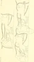An illustration from Pitture di vasi fittili, esibite dal cav. F. Inghirami per servire di studio alla mitologia ed alla storia degli antichi popoli (1838)