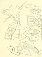 An illustration from Pitture di vasi fittili, esibite dal cav. F. Inghirami per servire di studio alla mitologia ed alla storia degli antichi popoli (1838)