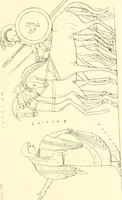 An illustration from Pitture di vasi fittili, esibite dal cav. F. Inghirami per servire di studio alla mitologia ed alla storia degli antichi popoli (1838)
