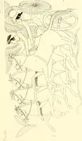 An illustration from Pitture di vasi fittili, esibite dal cav. F. Inghirami per servire di studio alla mitologia ed alla storia degli antichi popoli (1838)