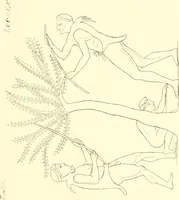 An illustration from Pitture di vasi fittili, esibite dal cav. F. Inghirami per servire di studio alla mitologia ed alla storia degli antichi popoli (1838)