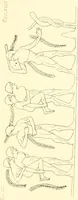 An illustration from Pitture di vasi fittili, esibite dal cav. F. Inghirami per servire di studio alla mitologia ed alla storia degli antichi popoli (1838)