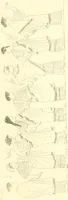 An illustration from Pitture di vasi fittili, esibite dal cav. F. Inghirami per servire di studio alla mitologia ed alla storia degli antichi popoli (1838)