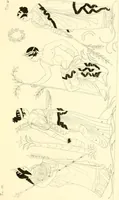 An illustration from Pitture di vasi fittili, esibite dal cav. F. Inghirami per servire di studio alla mitologia ed alla storia degli antichi popoli (1838)