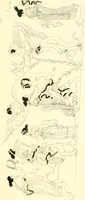An illustration from Pitture di vasi fittili, esibite dal cav. F. Inghirami per servire di studio alla mitologia ed alla storia degli antichi popoli (1838)