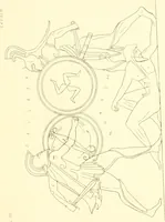 An illustration from Pitture di vasi fittili, esibite dal cav. F. Inghirami per servire di studio alla mitologia ed alla storia degli antichi popoli (1838)