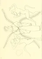 An illustration from Pitture di vasi fittili, esibite dal cav. F. Inghirami per servire di studio alla mitologia ed alla storia degli antichi popoli (1838)