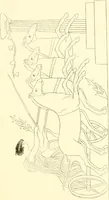 An illustration from Pitture di vasi fittili, esibite dal cav. F. Inghirami per servire di studio alla mitologia ed alla storia degli antichi popoli (1838)