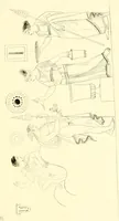 An illustration from Pitture di vasi fittili, esibite dal cav. F. Inghirami per servire di studio alla mitologia ed alla storia degli antichi popoli (1838)