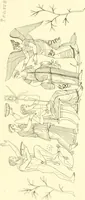 An illustration from Pitture di vasi fittili, esibite dal cav. F. Inghirami per servire di studio alla mitologia ed alla storia degli antichi popoli (1838)