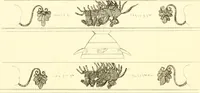 An illustration from Pitture di vasi fittili, esibite dal cav. F. Inghirami per servire di studio alla mitologia ed alla storia degli antichi popoli (1838)