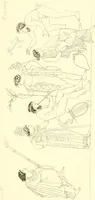 An illustration from Pitture di vasi fittili, esibite dal cav. F. Inghirami per servire di studio alla mitologia ed alla storia degli antichi popoli (1838)