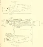 An illustration from Pitture di vasi fittili, esibite dal cav. F. Inghirami per servire di studio alla mitologia ed alla storia degli antichi popoli (1838)