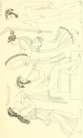 An illustration from Pitture di vasi fittili, esibite dal cav. F. Inghirami per servire di studio alla mitologia ed alla storia degli antichi popoli (1838)