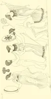 An illustration from Pitture di vasi fittili, esibite dal cav. F. Inghirami per servire di studio alla mitologia ed alla storia degli antichi popoli (1838)