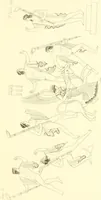 An illustration from Pitture di vasi fittili, esibite dal cav. F. Inghirami per servire di studio alla mitologia ed alla storia degli antichi popoli (1838)