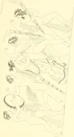 An illustration from Pitture di vasi fittili, esibite dal cav. F. Inghirami per servire di studio alla mitologia ed alla storia degli antichi popoli (1838)