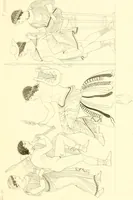 An illustration from Pitture di vasi fittili, esibite dal cav. F. Inghirami per servire di studio alla mitologia ed alla storia degli antichi popoli (1838)