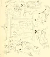 An illustration from Pitture di vasi fittili, esibite dal cav. F. Inghirami per servire di studio alla mitologia ed alla storia degli antichi popoli (1838)