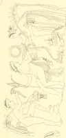 An illustration from Pitture di vasi fittili, esibite dal cav. F. Inghirami per servire di studio alla mitologia ed alla storia degli antichi popoli (1838)