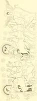 An illustration from Pitture di vasi fittili, esibite dal cav. F. Inghirami per servire di studio alla mitologia ed alla storia degli antichi popoli (1838)