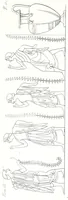 An illustration from Pitture di vasi fittili (1835)