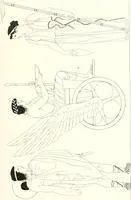 Picture 17 of 216 from Pitture di vasi fittili, esibite dal cav. F. Inghirami per servire di studio alla mitologia ed all storia degli antichi popoli (1838), leaf 186