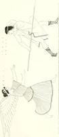 Picture 20 of 216 from Pitture di vasi fittili, esibite dal cav. F. Inghirami per servire di studio alla mitologia ed all storia degli antichi popoli (1838), leaf 192