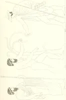 An illustration from Pitture di vasi fittili, esibite dal cav. F. Inghirami per servire di studio alla mitologia ed all storia degli antichi popoli (1838)