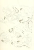An illustration from Pitture di vasi fittili, esibite dal cav. F. Inghirami per servire di studio alla mitologia ed all storia degli antichi popoli (1838)