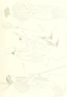 An illustration from Pitture di vasi fittili, esibite dal cav. F. Inghirami per servire di studio alla mitologia ed all storia degli antichi popoli (1838)