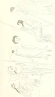 An illustration from Pitture di vasi fittili, esibite dal cav. F. Inghirami per servire di studio alla mitologia ed all storia degli antichi popoli (1838)