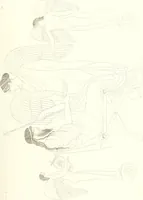 Picture 79 of 216 from Pitture di vasi fittili, esibite dal cav. F. Inghirami per servire di studio alla mitologia ed all storia degli antichi popoli (1838), leaf 298