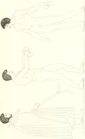 An illustration from Pitture di vasi fittili, esibite dal cav. F. Inghirami per servire di studio alla mitologia ed all storia degli antichi popoli (1838)