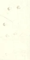 An illustration from Pitture di vasi fittili, esibite dal cav. F. Inghirami per servire di studio alla mitologia ed all storia degli antichi popoli (1838)