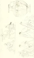 An illustration from Pitture di vasi fittili, esibite dal cav. F. Inghirami per servire di studio alla mitologia ed all storia degli antichi popoli (1838)