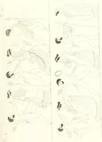 Picture 104 of 216 from Pitture di vasi fittili, esibite dal cav. F. Inghirami per servire di studio alla mitologia ed all storia degli antichi popoli (1838), leaf 348