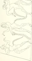 Picture 116 of 216 from Pitture di vasi fittili, esibite dal cav. F. Inghirami per servire di studio alla mitologia ed all storia degli antichi popoli (1838), leaf 508