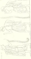 Picture 118 of 216 from Pitture di vasi fittili, esibite dal cav. F. Inghirami per servire di studio alla mitologia ed all storia degli antichi popoli (1838), leaf 510