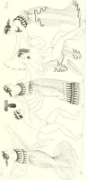 Picture 161 of 216 from Pitture di vasi fittili, esibite dal cav. F. Inghirami per servire di studio alla mitologia ed all storia degli antichi popoli (1838), leaf 588