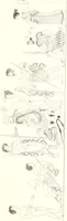 Picture 162 of 216 from Pitture di vasi fittili, esibite dal cav. F. Inghirami per servire di studio alla mitologia ed all storia degli antichi popoli (1838), leaf 590