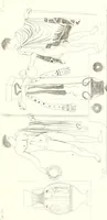 Picture 166 of 216 from Pitture di vasi fittili, esibite dal cav. F. Inghirami per servire di studio alla mitologia ed all storia degli antichi popoli (1838), leaf 598