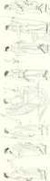 An illustration from Pitture di vasi fittili, esibite dal cav. F. Inghirami per servire di studio alla mitologia ed all storia degli antichi popoli (1838)