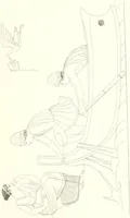 An illustration from Pitture di vasi fittili, esibite dal cav. F. Inghirami per servire di studio alla mitologia ed all storia degli antichi popoli (1838)