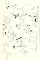 Picture 182 of 216 from Pitture di vasi fittili, esibite dal cav. F. Inghirami per servire di studio alla mitologia ed all storia degli antichi popoli (1838), leaf 630