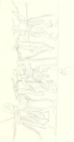 An illustration from Pitture di vasi fittili, esibite dal cav. F. Inghirami per servire di studio alla mitologia ed all storia degli antichi popoli (1838)