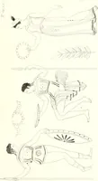 An illustration from Pitture di vasi fittili, esibite dal cav. F. Inghirami per servire di studio alla mitologia ed all storia degli antichi popoli (1838)